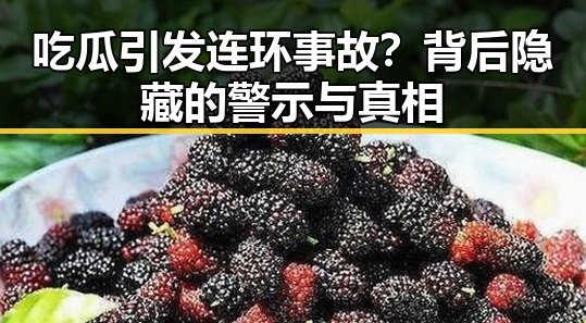 吃瓜引发连环事故？背后隐藏的警示与真相