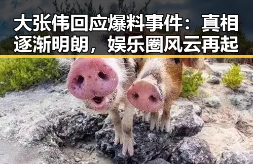 大张伟回应爆料事件：真相逐渐明朗，娱乐圈风云再起